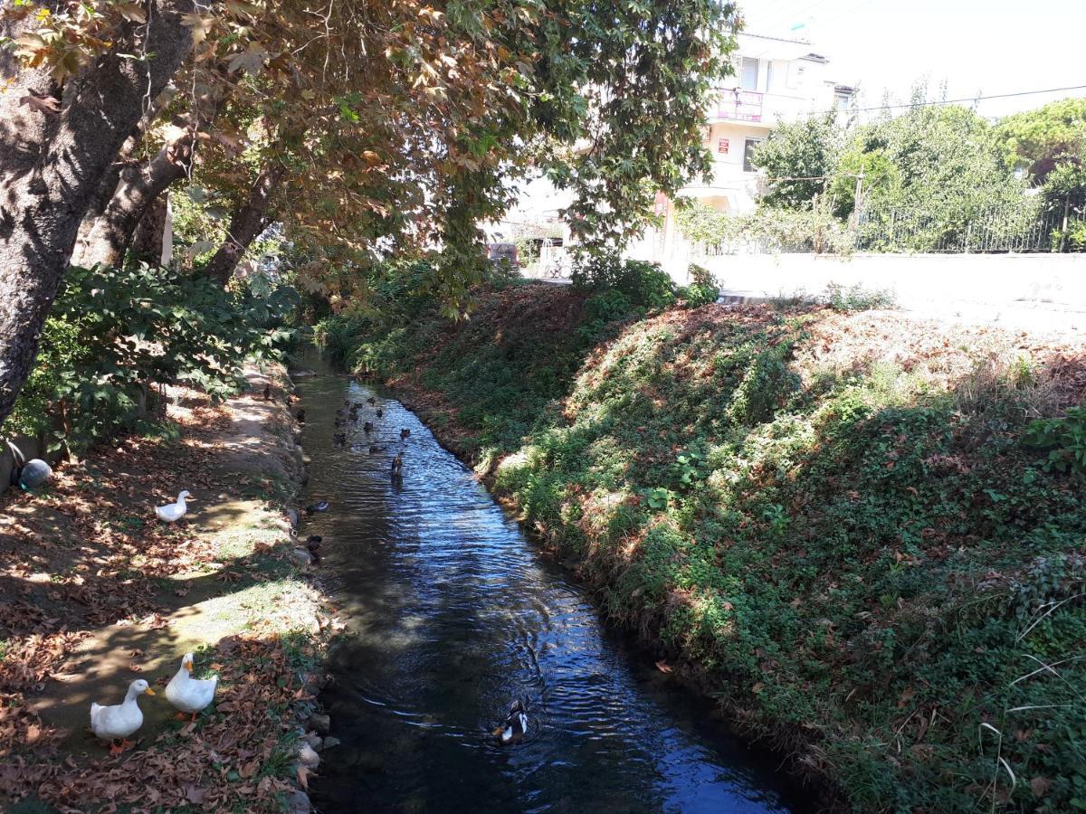 Samos Apart Pension Guzelcamlı Esterno foto