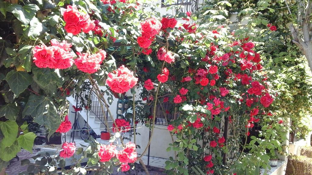 Samos Apart Pension Guzelcamlı Esterno foto