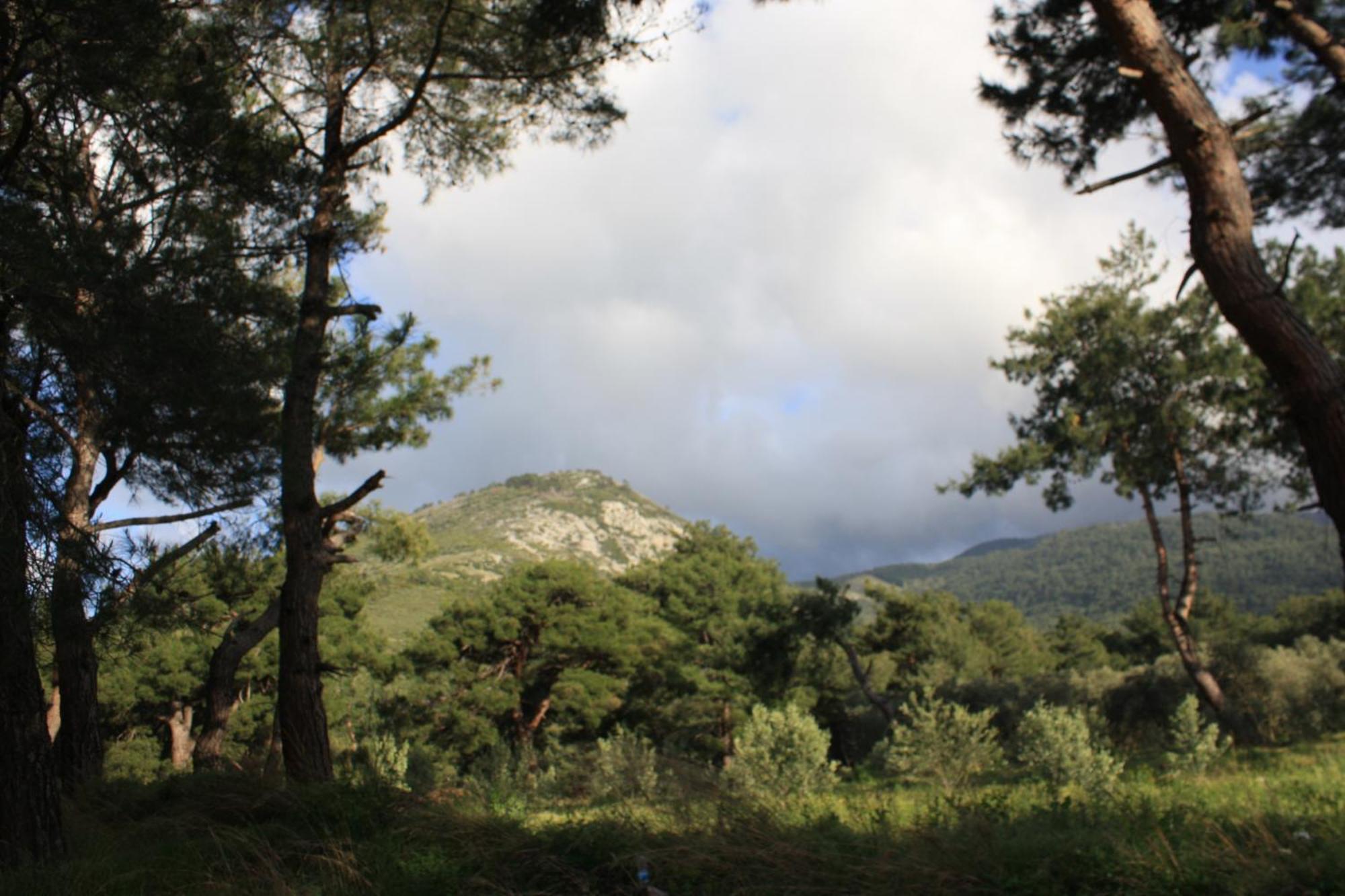Samos Apart Pension Guzelcamlı Esterno foto