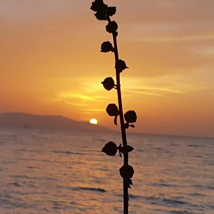 Samos Apart Pension Guzelcamlı Esterno foto
